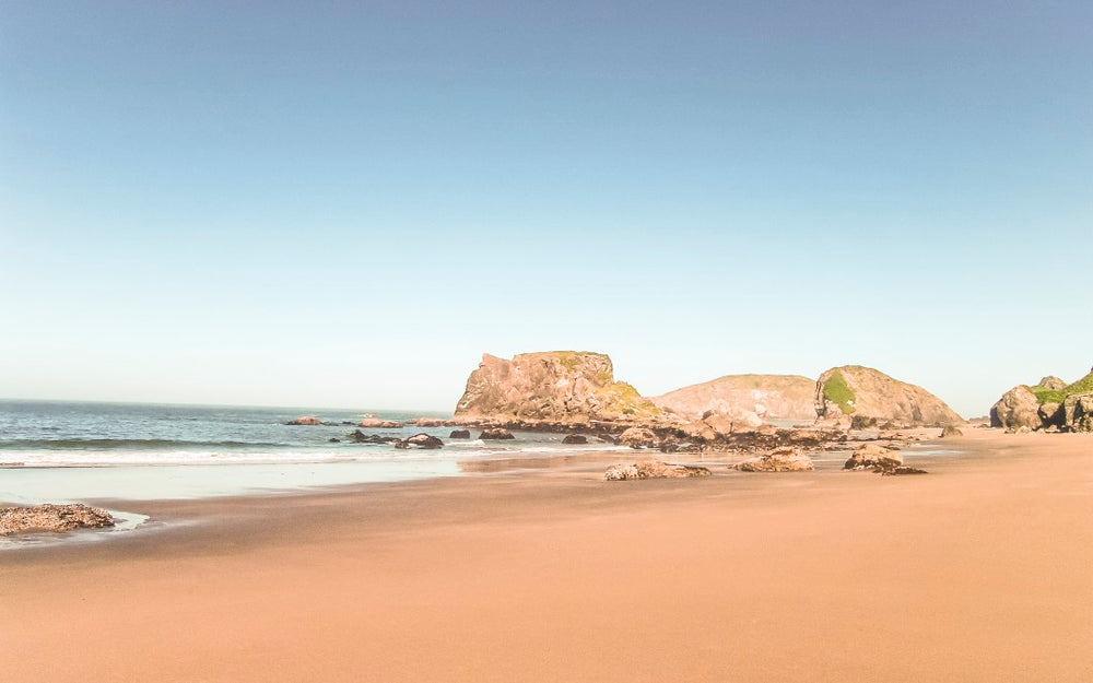 How to Get Rid of Biting Flies (green heads) at the Beach?