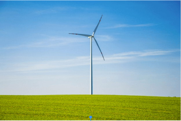 6 Best Eco-friendly Blogs You Should Be Following