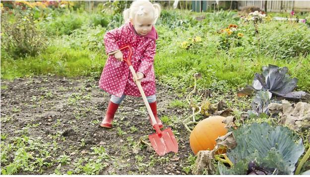 5 Tools Everyone Who Gardens Should Have